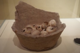 Snails found in a pot excavated from Akrotiri (~1613 BC)